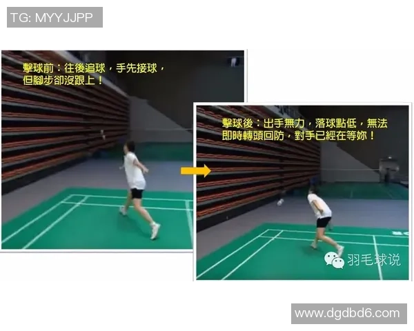 西安羽毛球队区域防守战术分析与实战应用探讨