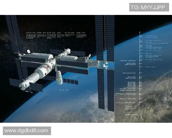 北京羽毛球队重塑辉煌之路的反击与创新探索