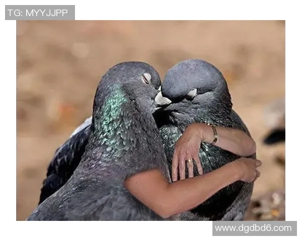 搞笑足球明星P图大集合让你捧腹大笑的创意瞬间回顾 搞笑足球明星P图大集合让你捧腹大笑的创意瞬间回顾