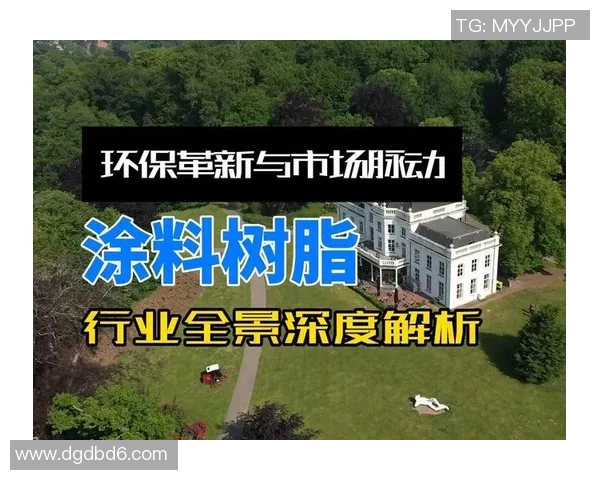 深圳乒乓球队转型之路的挑战与机遇全景解析