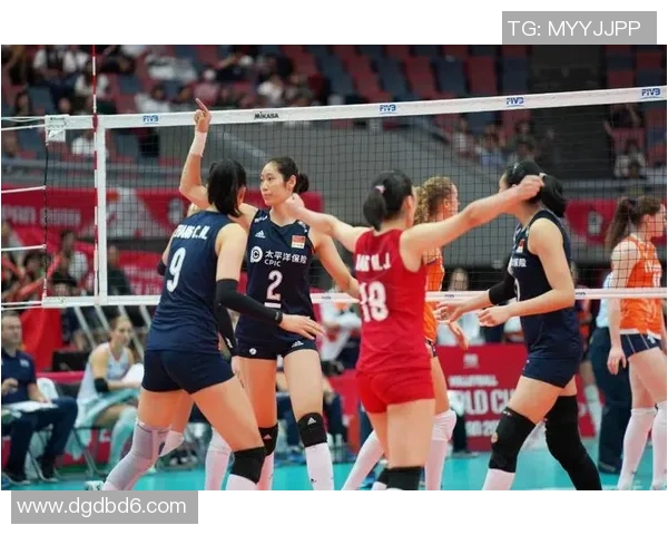 西安排球队的拼搏之路:追逐梦想的奥运会特别报道 西安排球队的拼搏之路:追逐梦想的奥运会特别报道