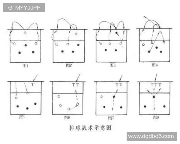广州排球队配合细节解析与战术对比全面分析 广州排球队配合细节解析与战术对比全面分析
