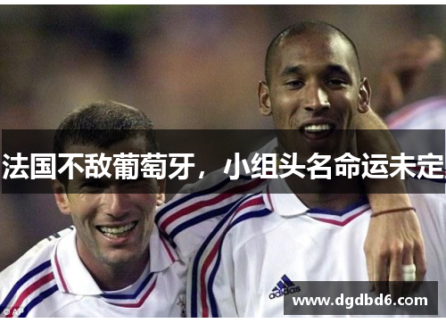 法国不敌葡萄牙，小组头名命运未定