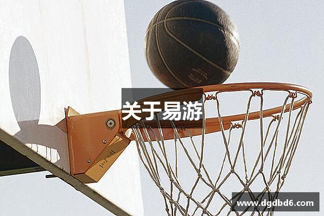 关于易游